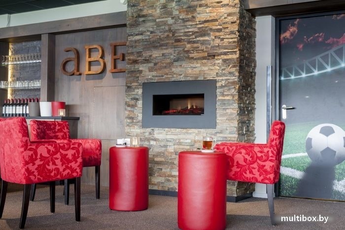 Электрокамин OPTI-V SINGLE / Dimplex фото на multiBOX