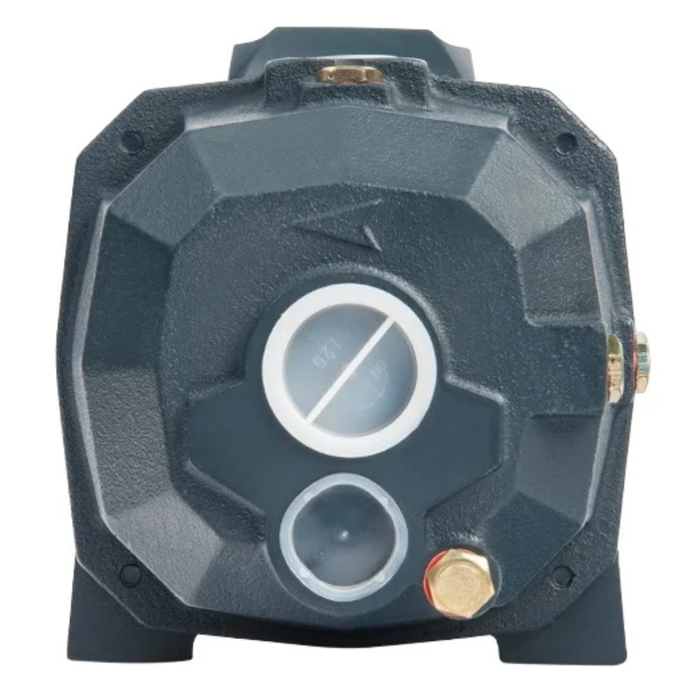 Поверхностный насос DP 750 / Unipump фото на multiBOX